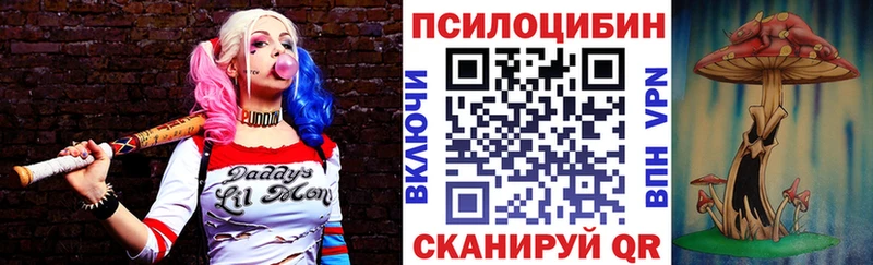 kraken ONION  Цимлянск  Псилоцибиновые грибы Psilocybe 